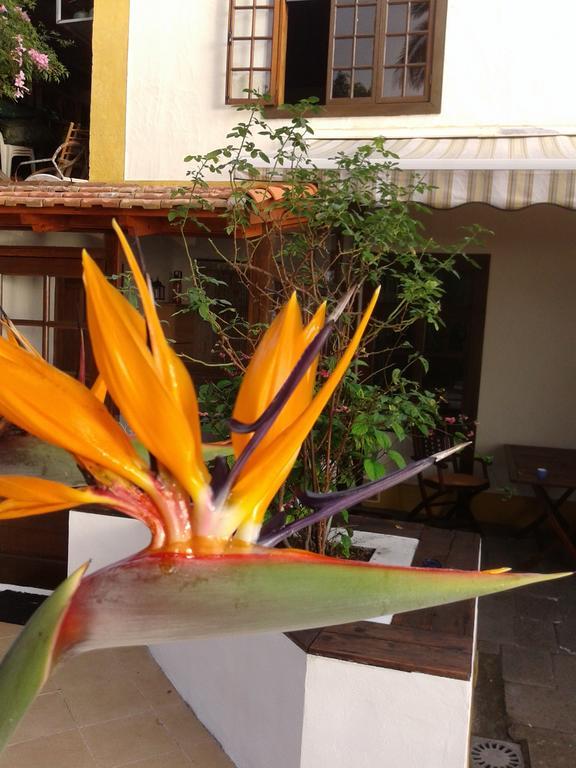 Casa Roberta Villa Monte de Brena Exterior foto